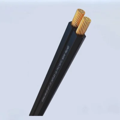 cable dúplex 2x22